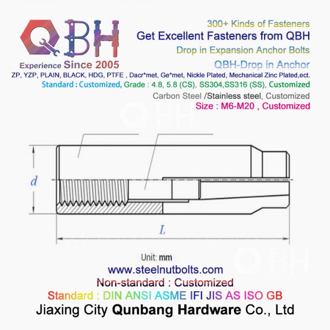 QBH GB /T 22795 (NP) - 2008 M6-M20 SS304 SS316 Stainless Steel Drop In Anchor Expansion 0