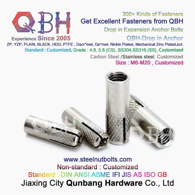 QBH GB /T 22795 (NP) - 2008 M6-M20 SS304 SS316 Stainless Steel Drop In Anchor Expansion 4
